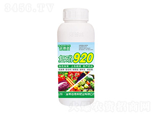 ����920-ŵ����