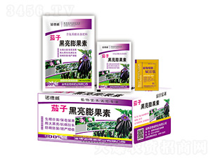���Ӻ��������+ֲ��ϸ��������-ŵ����