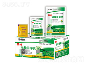 ��Ҷ���̴�ѿ��+ֲ��ϸ��������-ŵ����