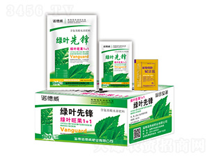 ��Ҷ�ȷ�+ֲ��ϸ��������-ŵ����