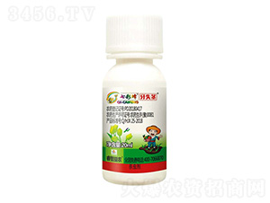 20%߻�氷��20ml��-��ʧ��-�����ũ