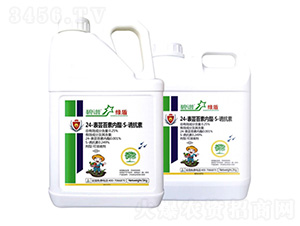 24-��̦ܿ��������S-�տ���-�̶�-�����ũ