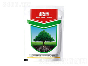 20g���˸�ʢ-�����ũ