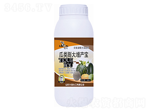 �������������-����-�ʷ�����