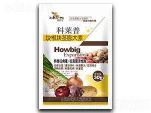����龥����أ�30g��-����-�ʷ�����