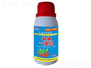 ����һ��죨ˮ����-����