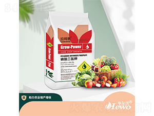 ��������-������-������