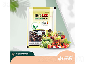 �ز�120����һ����-������