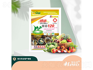 �ٲ�����120-������