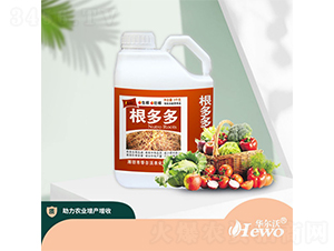 5kg�����-������