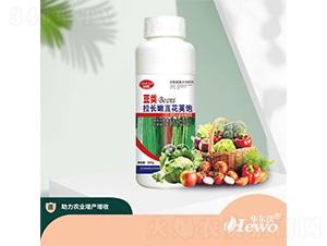 500g����������ֱ���Ա�-������