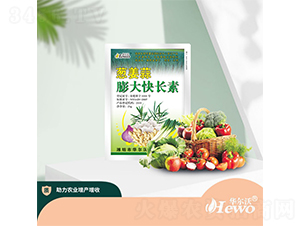 �н������쳤��-������