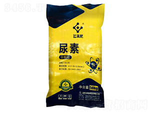 ���컯�п�������-��������