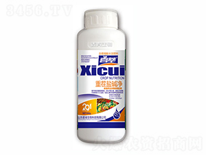 �ز��μ��500g��-�������