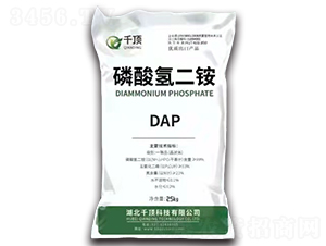 ��������DAP-ǧ��