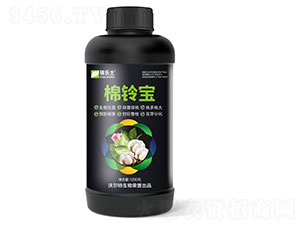 ���屦-������-�ֶ���
