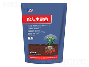 500g����ľù��-��ϲ