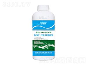 �ߵ�ȫӪ��300-100-100+TE-ŵ����