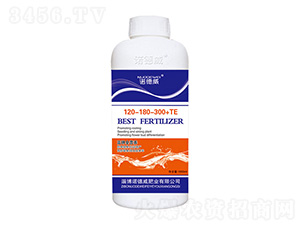 �߼�ȫӪ��120-180-300+TE-ŵ����