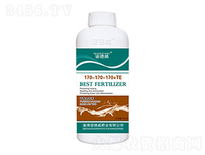 ƽ��ȫӪ��170-170-170+TE-ŵ����