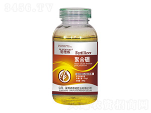 300g�ۺ���-ŵ����