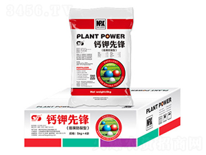 �Ƽ��ȷ棨�����������ϣ�-�Ƕ�����