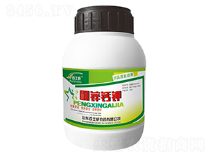 ��п�Ƽأ�500g��-��ʿ��