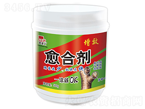 500g��Ч���ϼ�-ũʥ��