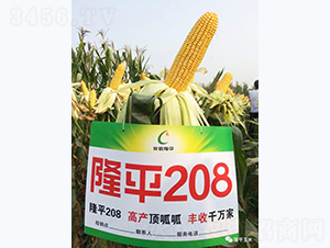 ¡ƽ208-��������-������ҵ