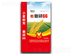 ����66-С������-������ҵ