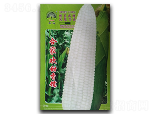�ϼһ�-Ŵ��������-�����ҵ