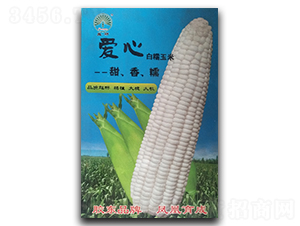 ����-Ŵ��������-�����ҵ