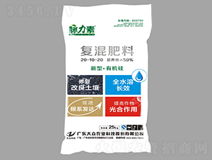 �л��踴�����20-10-20-������-���ڿƼ�