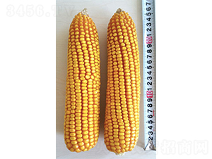 �Ǻ�8054-��������-�Ǻ���ҵ