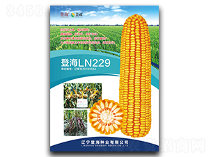 �Ǻ�LN229-��������-�Ǻ���ҵ