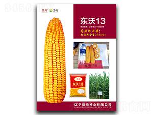 ����13-��������-�Ǻ���ҵ