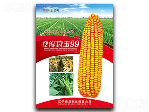 �Ǻ�����99-��������-�Ǻ���ҵ