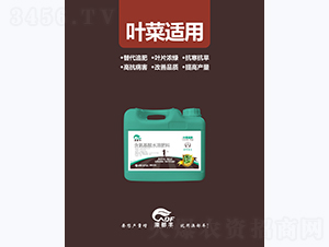 Ҷ�����ú�������ˮ�ܷ��ϣ���ʩ��-�Ķ���