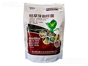 500g�ݲ�ѿ�߸˾�-�Ƕ�����