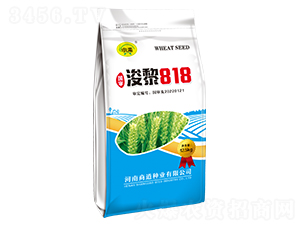 ����818-С������-�̵���ҵ