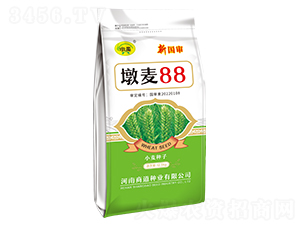 ����88-С������-�̵���ҵ