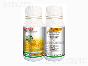 40%�ҡ�ݬ-�����ⱦ-���ũ��