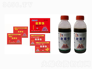 20%�вݿ�ˮ��-������-��������