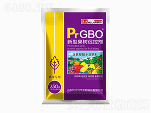 PrGBO���͹����ٿؼ�-�������
