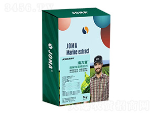 ø�⺣�徫�ۼ�-������-��������