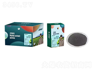 ø�⺣�徫�ۼ���װ-������-��������