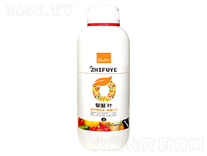 1L�Ƿ�Ҷ-������