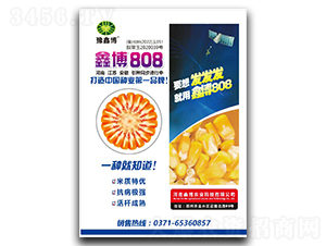 �β�808-��������-ԥ�β�