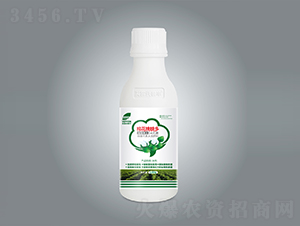 �޻����Ҷ�-Ӣ¶���շ�