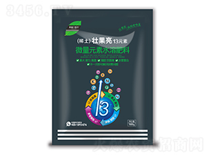 ׳����13Ԫ��-Ӣ¶���շ�